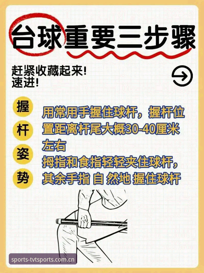 TVT体育安卓下载iOS版最新动态：新手必看的一站式操作指南